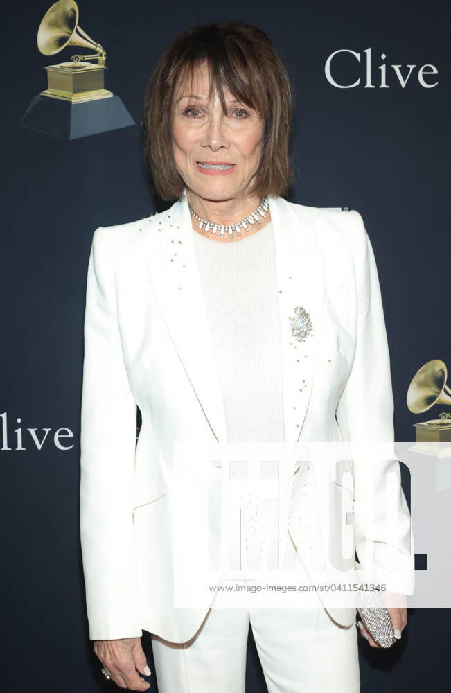 Pre-Grammy Gala and Grammy Salute To Industry Icons - LA Michele Lee, At The 66th GRAMMY Awards - Pre-GRAMMY Gala & GRAMMY Salute to Industry Icons Honoring Jon Platt at The Beverly Hilton Hotel in Beverly Hills, CA, USA on February 3 2024. Photo by Fati S ABACAPRESS.COM Beverly Hills CA United States