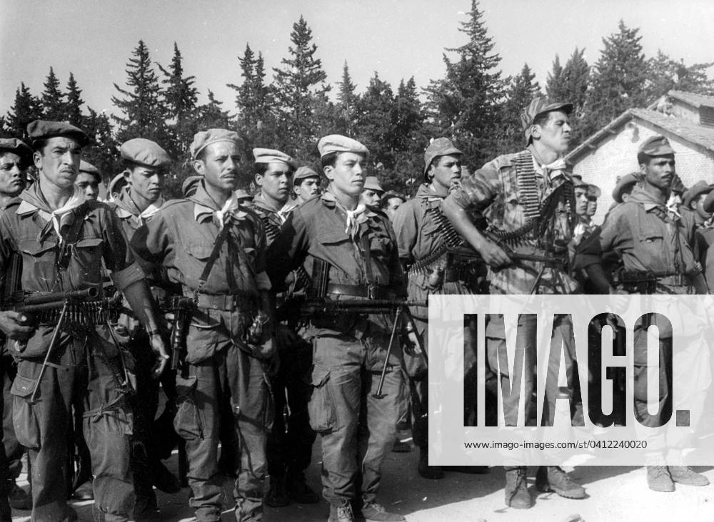 Campaign for Referendum on Independence, 27th June 1962 (b w photo) 1700896 Campaign for Referendum on Independence, 27th June 1962 (b w photo) by French Photographer, (20th century); (add.info.: Campaign for referendum (about self-determination of Algeria) in Arba on june 27, 1962 : Troops of ALN (National Liberation Army) for independance of Algeria).
