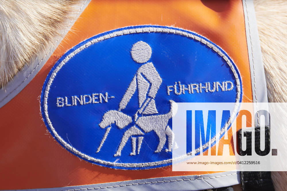 Running guide training for visually impaired and Blind People in Mülheim to the Ruhr become for the first time Running guides for visually impaired and Blind People offered Mülheim to the Ruhr D