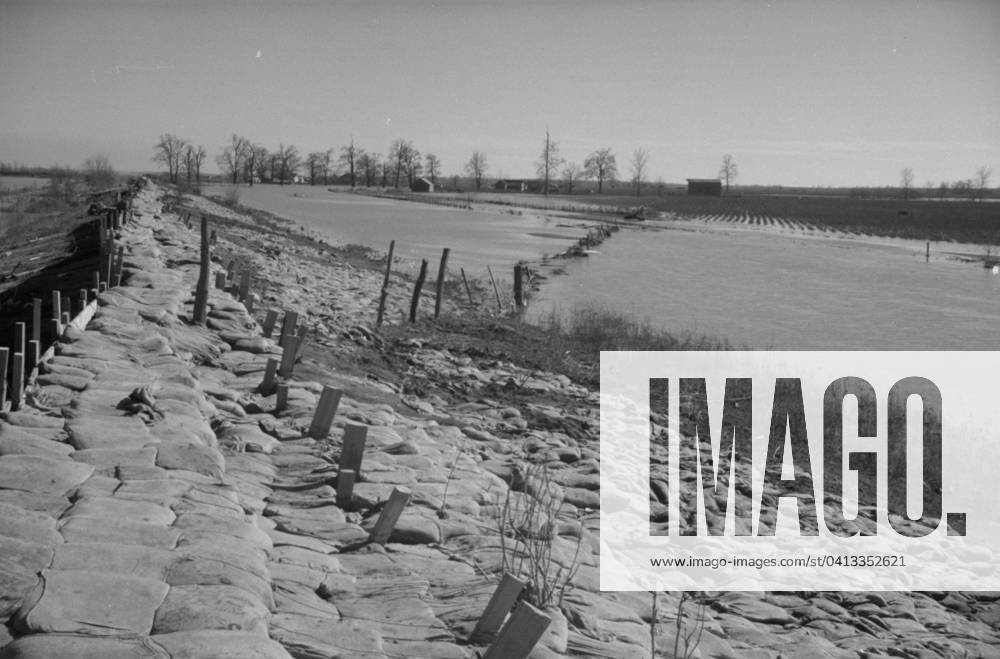 The Bessie Levee, along a subsidiary of the Mississippi River, augmented with sand bags during the flood near Tiptonville, Tennessee, 1937 (b w photo) 3666445 The Bessie Levee, along a subsidiary of the Mississippi River, augmented with sand bags during the flood near Tiptonville, Tennessee, 1937 (b w photo) by Evans, Walker (1903-75); Private Collection; (add.info.: Photograph taken for the U.S. Resettlement Administration: a New Deal U.S. federal agency that, between April 1935 and December 1936, relocated struggling urban and rural families to communities planned by the federal government. ).