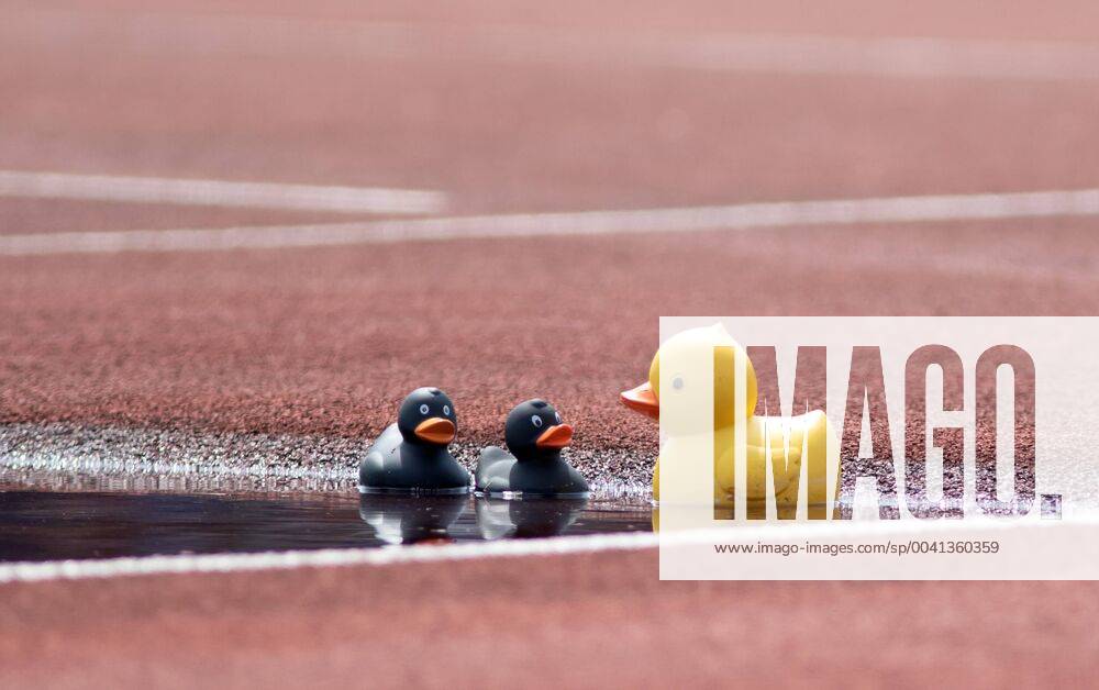 German Youth Championships Ulm, 26 07 2019 Impression Duck family in the moat German Youth Championships on 26 07 2019 in the Donaustadion in Ulm Baden Wuerttemberg