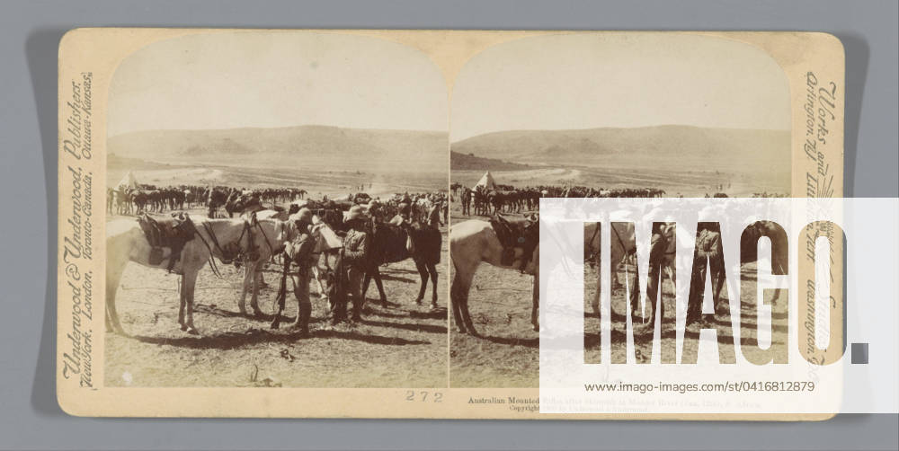 Australian soldiers on horseback after a fight at Mud River, South Africa, Anonymous, 1900 stereograph The fight took place on January 12, 1900. Modderrivierpublisher: New York (city) cardboard. paper albumen print land forces (+ cavalry, horsemen). after the battle Modder River