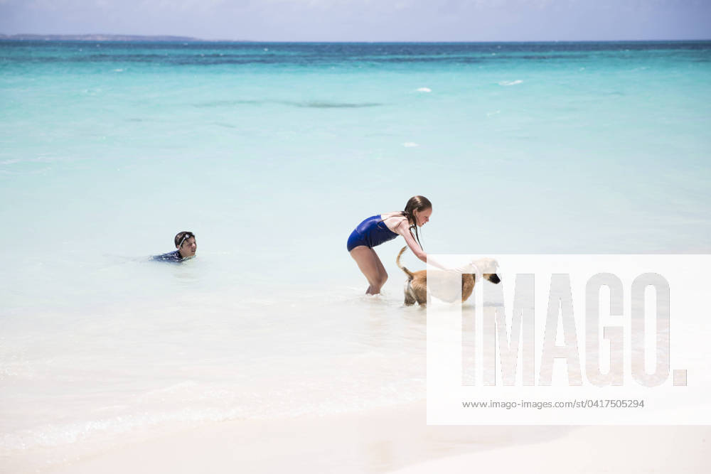Young Girl Plays With Dog While Swimming in Caribbean Ocean Blowing Point Village, Anguilla CR_EMJA240225-109046-01 ,model released, Symbolfoto