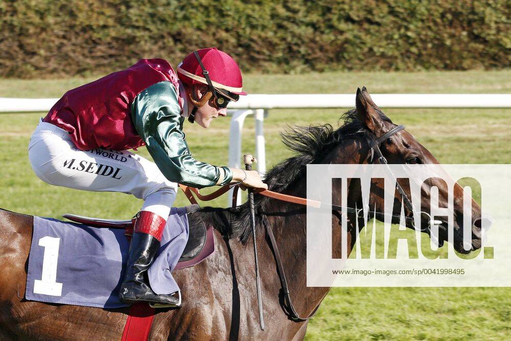 Iffezheim, Baden Wuerttemberg, GER Amorella with Martin Seidl wins the T von Zastrow mare price racecourse Baden Baden, Iffezheim horse, Jockey, Amorella, Seidl, victory, finish, finish 190831D536IFFEZHEIM JPG