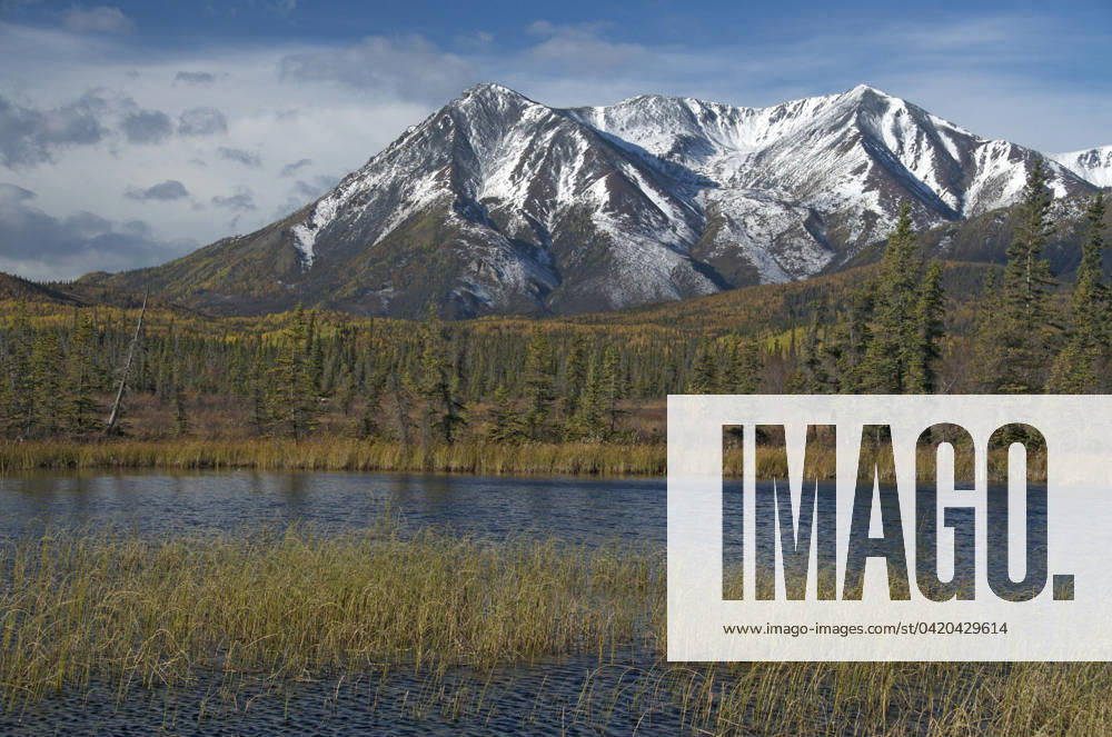 St. Elias Range, near Snag, Yukon Territory along the Alaska Highway, Canada. September.