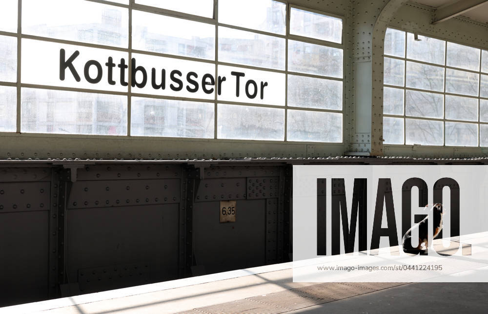 Berlin Germany A dog waits at Kottbusser Tor underground station It is unclear what for