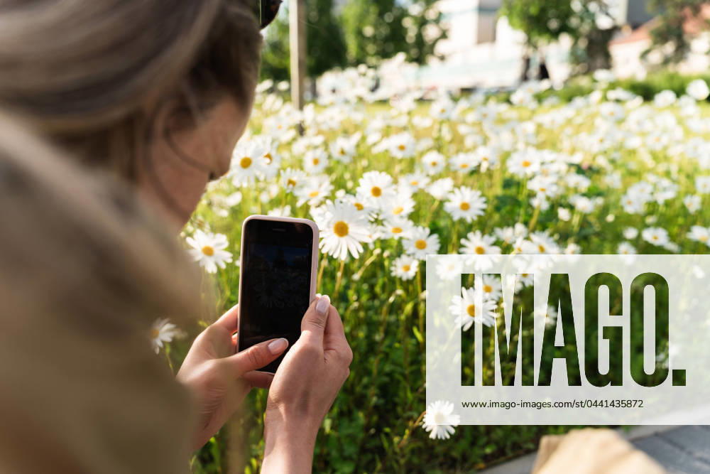 IMAGO Creative: Sommer, Sommertage im Stadtpark woman takes photo of flowering daisies on her smartphone Vilnius, Vilnius County, Lithuania R_EDSAHG230427C1-1176776-01 ,model released, Symbolfoto