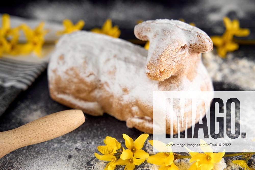 Traditional Easter lamb as a cake for Easter. Baking concept with flour, eggs and fresh yellow flowers