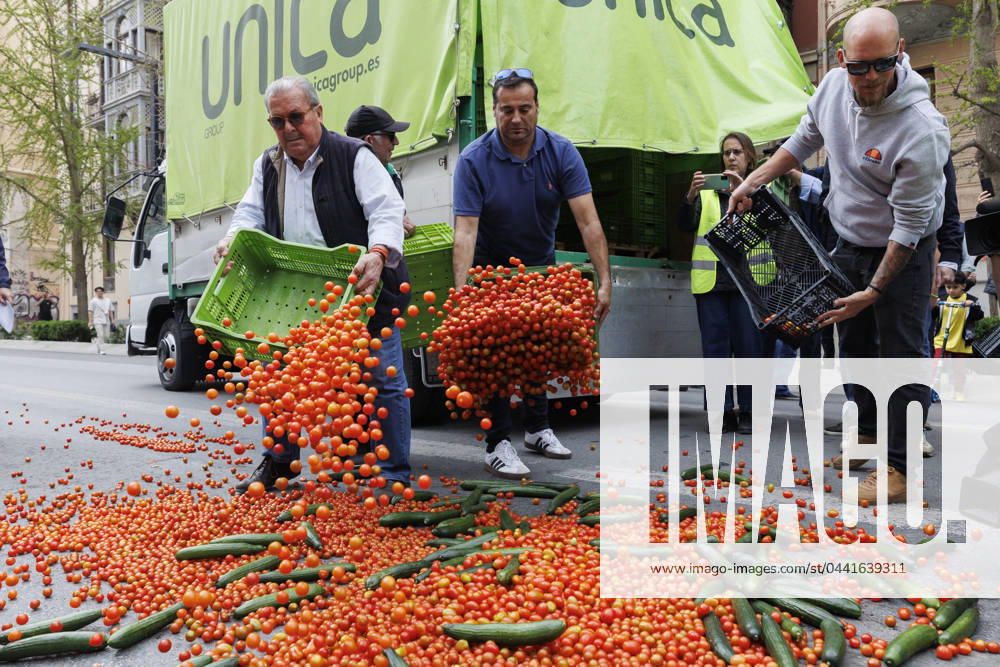 Tractorade Called By Agricultural Organizations - Granada Farmers throw tomatoes during the tractorada in the center of Granada. On March 22, 2024, in Granada (Andalusia, Spain). Hundreds of farmers convened by the agricultural organizations Asaja, COAG, UPA and Cooperativas Agro-alimentarias, have started a tractorada to demand measures for the viability of agricultural and livestock farms. Photo by Alex Camara Europa Press ABACAPRESS.COM GRANADA (Andalusia, Spain) Spain