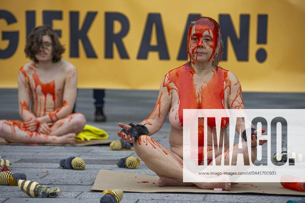 (EDITORS NOTE: Image contains nudity).Female Extinction Rebellion activist, naked and covered in fake blood, protest outside the largest flower garden in The Netherlands and warn the interring public of the poison used to grow the flowers they are about to see. Extinction Rebellion protested naked against the use of poisons in flower bulb cultivation during the opening of the Keukenhof 75th anniversary. Lisse Netherlands - ZUMAs197 20240321_aaa_s197_257
