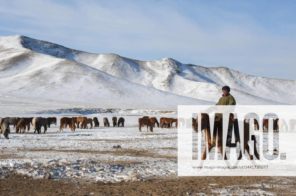 Herders relocating a herd of horses to a winter pasture near Ulaanbaatar, Mongolia. Herders relocating a herd of horses to a winter pasture near Ulaanbaatar, Mongolia., Credit:Wolfgang Kaehler Avalon 0534925872
