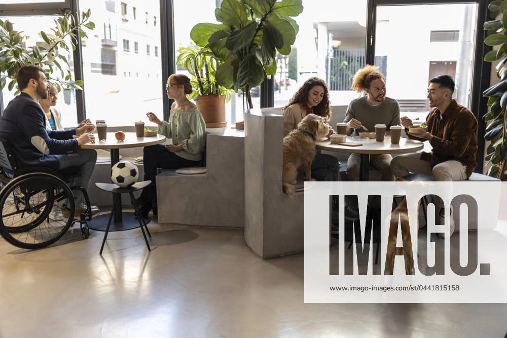Business colleagues on lunch break with dogs at office model released, Symbolfoto property released, JCCMF11310