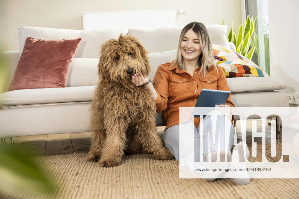 Happy beautiful woman holding tablet PC and stroking dog at home model released, Symbolfoto property released, UUF31329