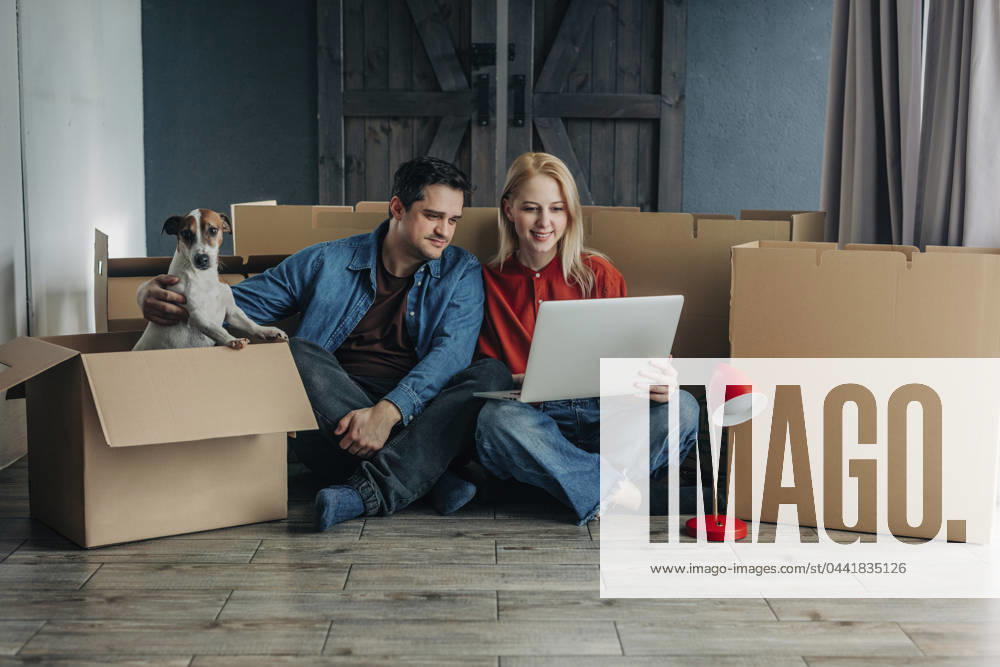 Smiling woman using laptop with man sitting near dog and cardboard boxes model released, Symbolfoto property released, VSNF01680