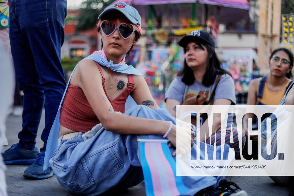 Protester holds a flag with the colors of the transsexual movement during the demonstration. The Transsexual Community March took place on the streets of downtown Queretaro intending to make this sector of society visible..One of the slogans is that the Gender Law, which has been in Congress since last year, be approved and that security and anti-discrimination guarantees be given in Querà taro. Queretaro Mexico - ZUMAs197 20240323_aaa_s197_595