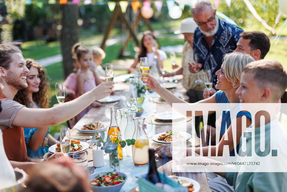 Family clinking glasses at summer garden party. Celebratory toast at the table. Family and friends clinking glasses at summer garden party. Celebratory toast at the table. Big family garden bbq. model released