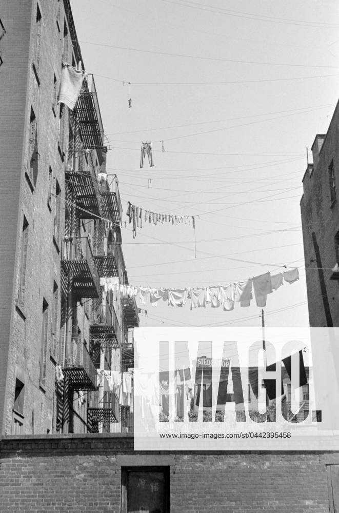 EVANS: NEW YORK, 1938. Clotheslines hung between apartment buildings on 61st Street, between 1st and 3rd Avenues in New York, New York. Photograph by Walker Evans, 1938.