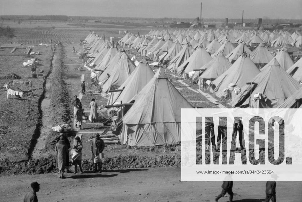 ARKANSAS: REFUGEE CAMP. View of the camp for flood refugees in Forrest City, Arkansas. Photograph by Edwin Locke or Walker Evans, March 1937.