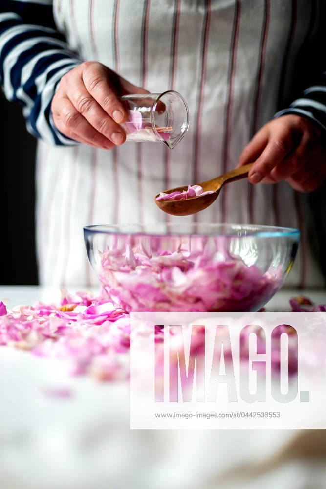 IMAGO Creative, Jahreszeit Sommer, Food, Marmelade kochen Woman Making Pink Rose Petal Jam in kitchen Texas City, Texas, United States R_INCH220104B8-891393-01 ,model released, Symbolfoto