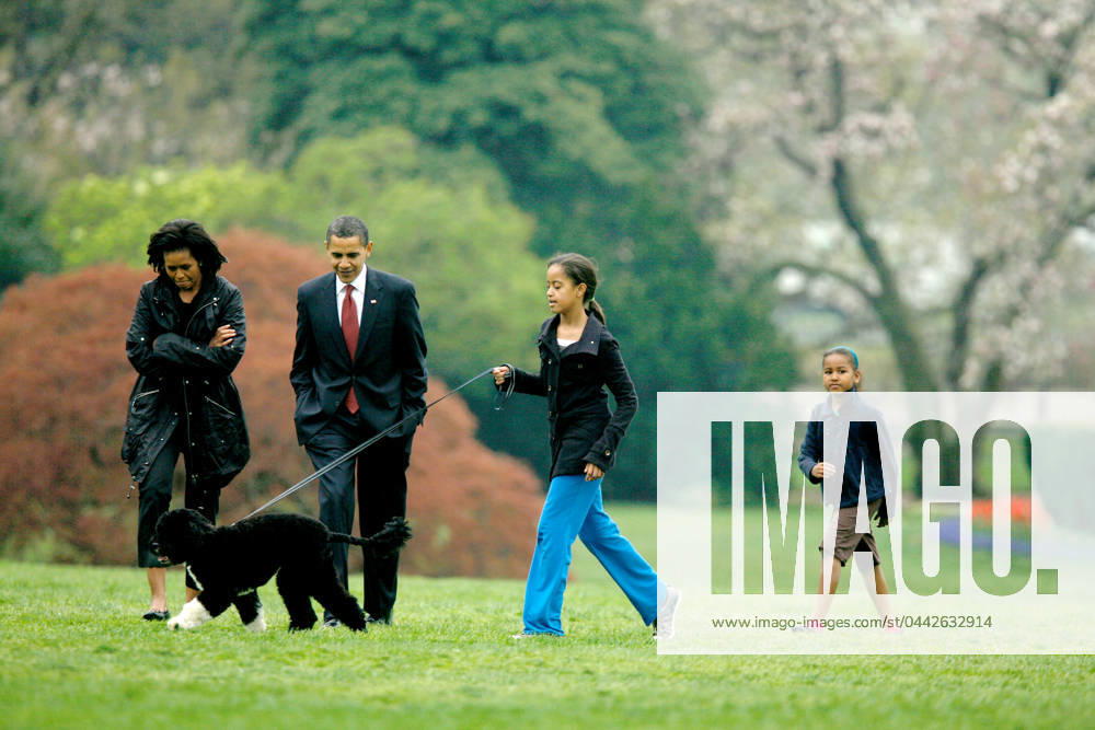 Obama Family Puppy7298.JPG.Washington, DC - April 14, 2009.The First Family shows off their new dog, Bo, on the South Lawn of the White House on Tuesday, April 14, 2009. From left to right: United States President Barack Obama, Bo, Malia Obama, Sasha Obama, and first lady Michelle Obama..Digital Photo by CNP-PHOTOlink. Washington DC USA