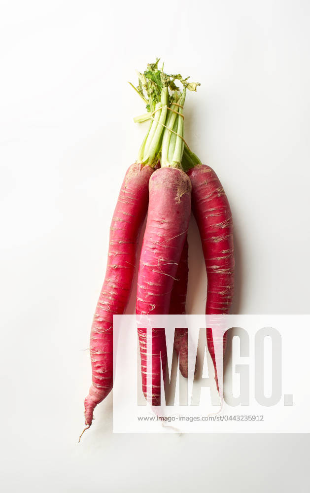IMAGO Creative, Sommer, Food, Radieschen rettich,bund,rettiche,bündel,föderation,gebinde,homonym,koalition,konföderation,liga,pakt,union,vereinigung,zusammenschluss ** radish,bunch,radishs,bunchs 539-mzc