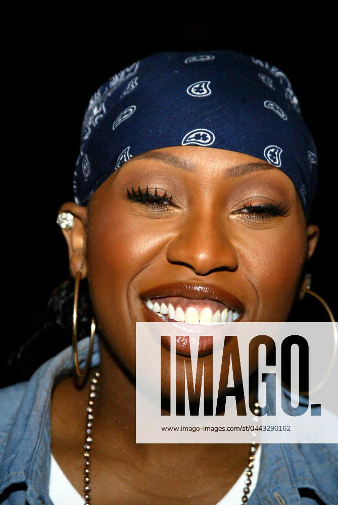 TELEVISION CRITICS ASSOCIATION (TCA) PRESS TOUR THE ROAD TO STARDOM WITH MISSY ELLIOTT MISSY ELLIOTT, JUDGE & CO-EXECUTIVE PRODUCER TELEVISION CRITICS ASSOCIATION (TCA) PRESS TOUR CENTURY CITY 7 21 04 -, Credit:Barbara Binstein Nader Group Avalon 0543091254