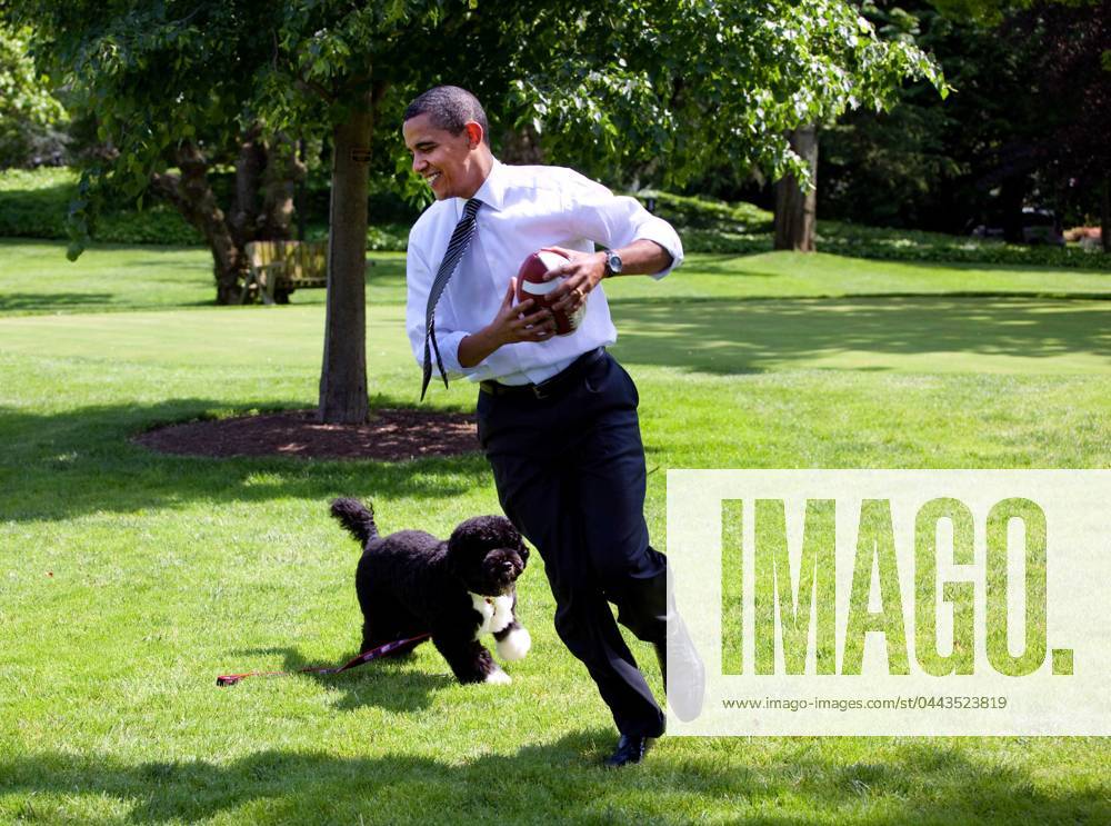 Obama1361.JPG.Washington, DC - May 12, 2009 -- United States President Barack Obama pets the family dog, Bo, during a brief break from meetings on the South Lawn of the White House.MANDATORY PHOTO CREDIT: Pete Souza White House -CNP-PHOTOlink. Washington DC USA