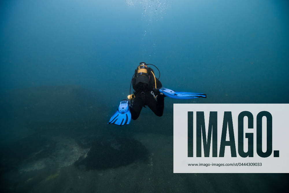 MR_ID20866_17048_PauloLuisSousa.jpg A scuba diver glides through the clear blue waters, flippers propelling them over a sandy seabed Model Released RubenSoto_ID20866_615573_003