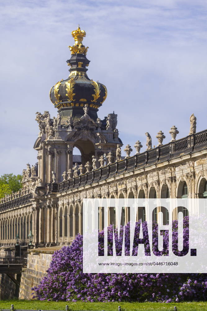 Spring at the Dresden Zwinger The lilacs bloom magnificently at the Zwinger moat Dresden Saxony Germany