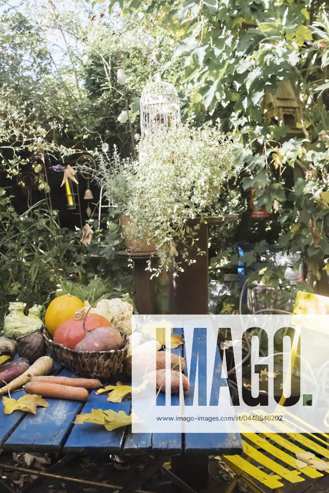 IMAGO Creative: Sommer, Sommertage im Garten Vegetables lying on garden table property released, HHF05967
