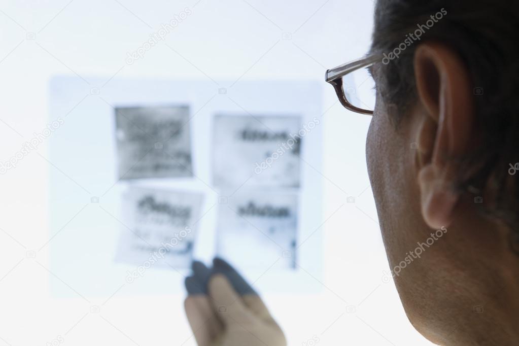 Scientist looking at Xray, close up, back view model released