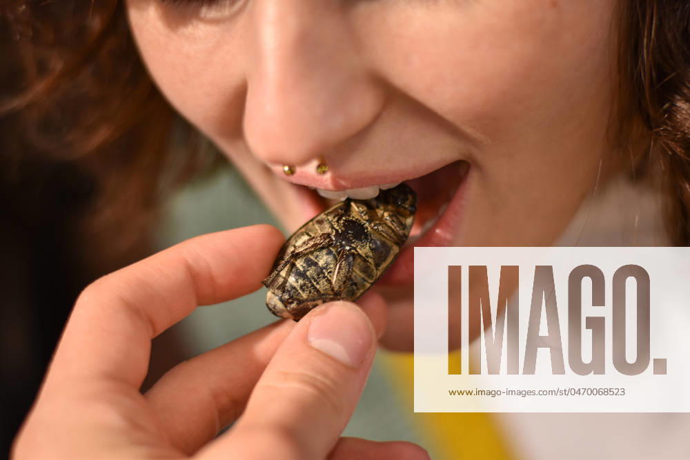 Man creates Disgusting Food Museum to highlight alternative food sources visitors can try rotten eggs, maggots and shark that smells like DEATH Story from Jam Press (Disgusting Food Museum) Pictured: A museum visitor trying a June Beetle. Man creates Disgusting Food Museum to highlight alternative food sources visitors can try rotten eggs, maggots and shark that smells like DEATH A museum is offering people the chance to try truly disgusting dishes from rotten eggs to eyeballs. But, according to the owner, many visitors enjoy some of the bizarre meals, particularly the insects. Samuel West first launched the space, aptly named the Disgusting Food Museum in 2017 to push a message of sustainability. The exhibitions foc