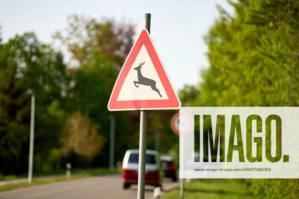 Attention deer crossing, warning sign on a road next to a forest edge