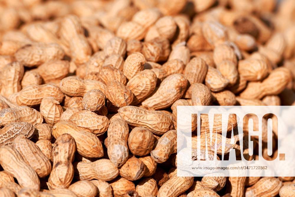 Chinese Market Food QINGDAO, CHINA - OCTOBER 21, 2022 - Fried peanuts are seen at a market in Qingdao, Shandong province, China, Oct 21, 2022. Qingdao Shandong China