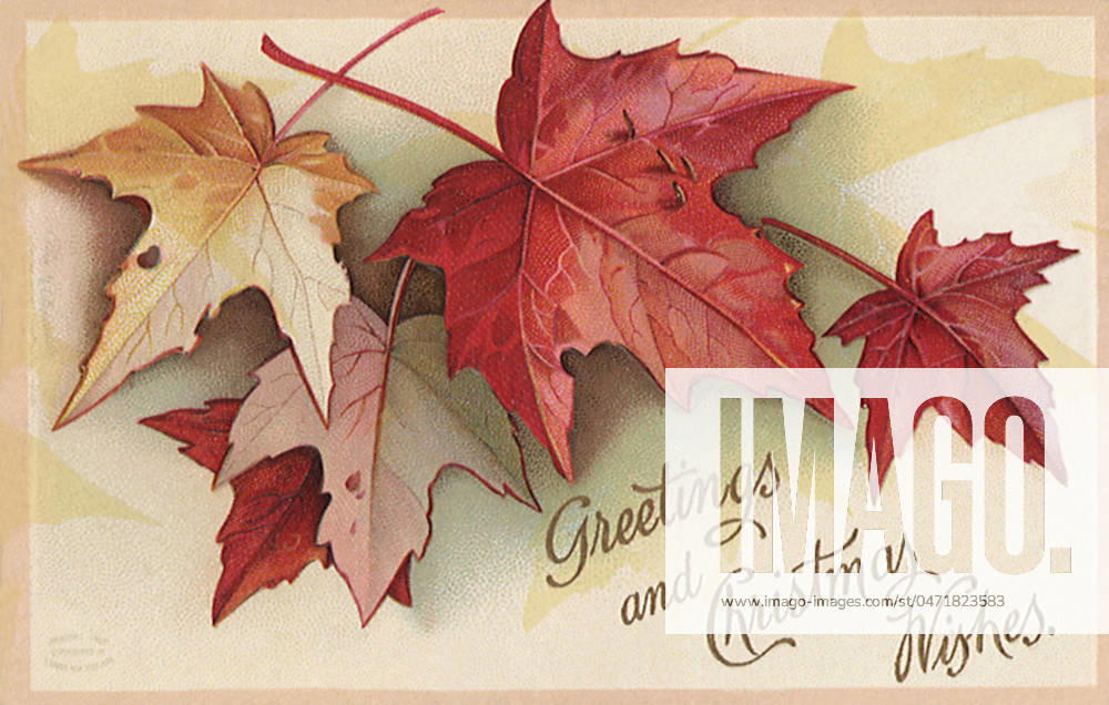 Maple Leaves Maple Leaves Date: 1910