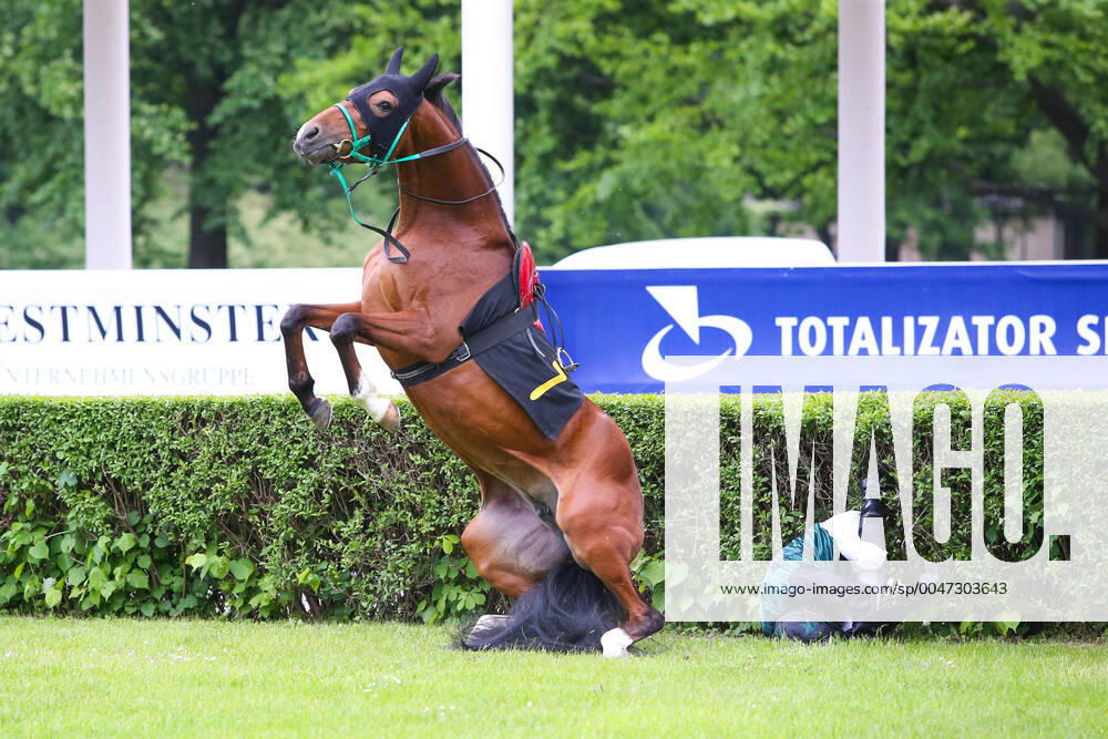 KW22 Pferdesport, Galopp, Renntag in Warschau, Grease de Bozouls wirft Jockey ab WARSZAWA 31.05.2020 WYSCIGI KONNE TOR SLUZEWIEC SEZON 2020 6. DZIEN WYSCIGOWY --- HORSE RACING 6TH DAY N Z KON GREASE DE BOZOULS DZOKEJ KAMIL GRZYBOWSKI FOT. ANNA KLEPACZKO FOTOPYK NEWSPIX.PL --- Newspix.pl 200531LUM037