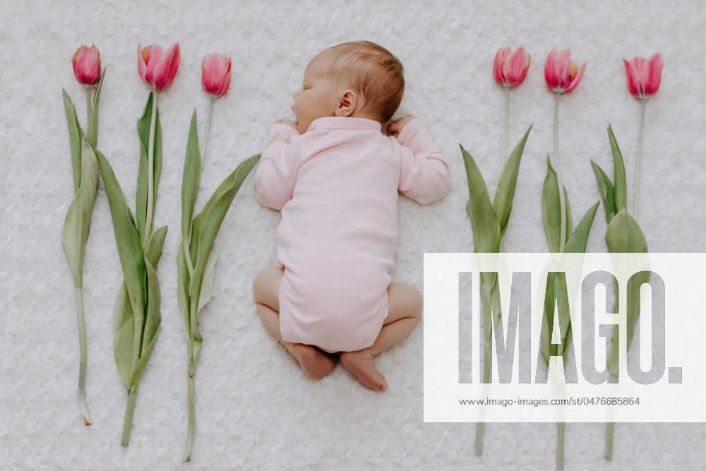 Newborn baby sleeping beside pink tulips on soft fabric Indianapolis, Indiana, United States R_KLBT240513C3-1424713-01 ,model released, Symbolfoto