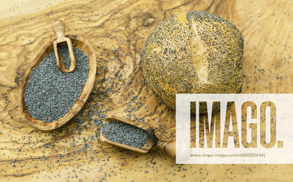 Rolls and Poppy seed in Wooden bowl and at Holzschaeufelchen Poppy Seed Rolls and Poppy Seeds in a Wooden Bowl and ON a Wooden Scoop BLWS709976