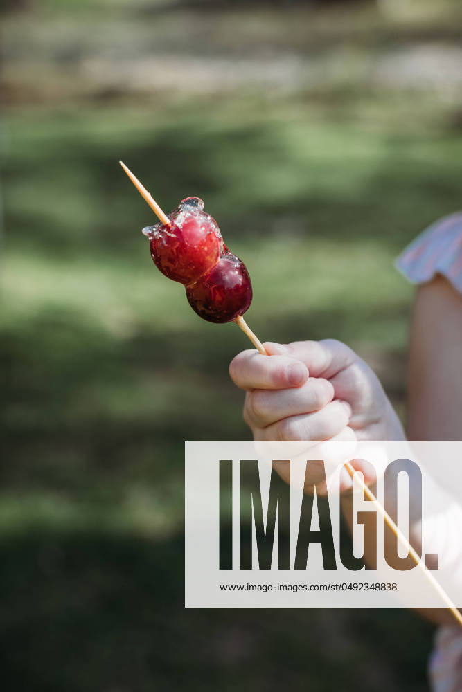 Close up of child holding tanghulu candied fruit snack Jackson, Missouri, United States R_WEKW240517-1434214-01 ,model released, Symbolfoto