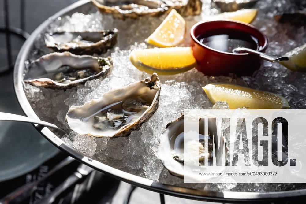 Oysters on metal tray with ice, lemon Restaurant menu, dieting, cookbook recipe. Expensive meal. Healthy food, gourmet, raw sea ocean. professional chef cooks set seafood sauce Cooking mediterranean Oysters on metal tray with ice, lemon Restaurant menu, dieting, cookbook recipe. Expensive meal. Healthy food, gourmet, raw sea ocean. professional chef cooks set seafood sauce Cooking mediterranean. High quality photo