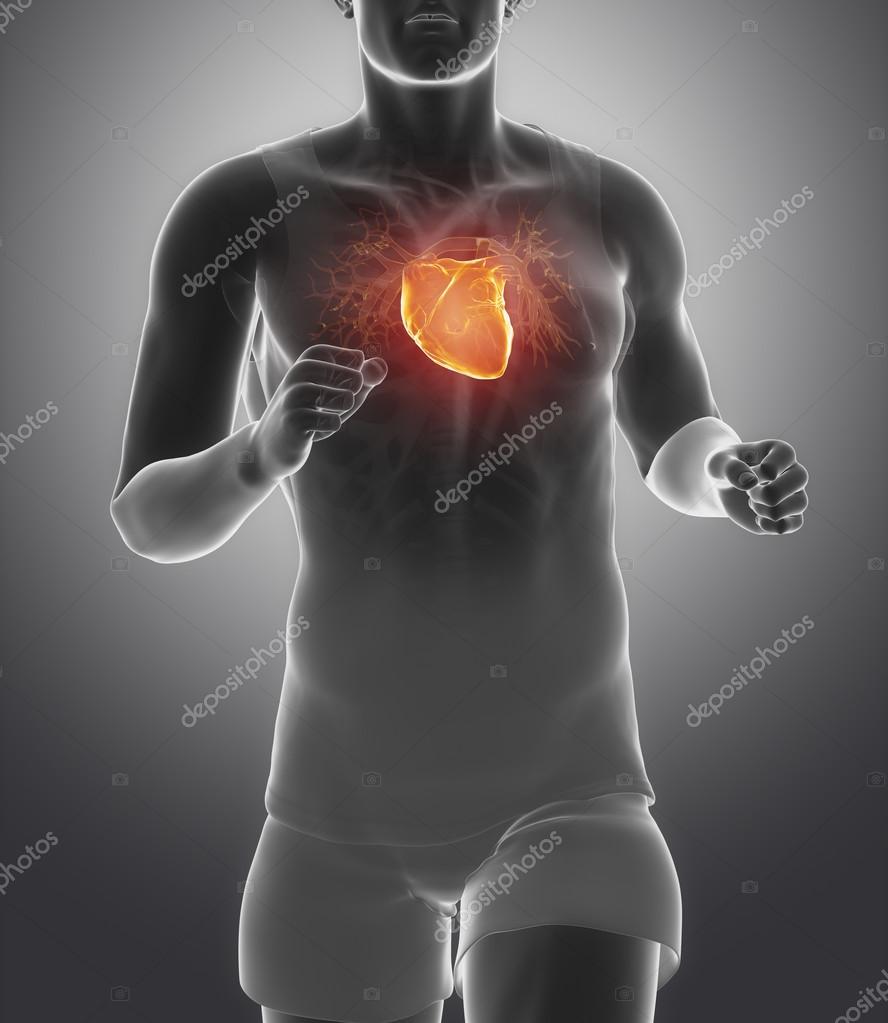 Athletic running man with healhy heart