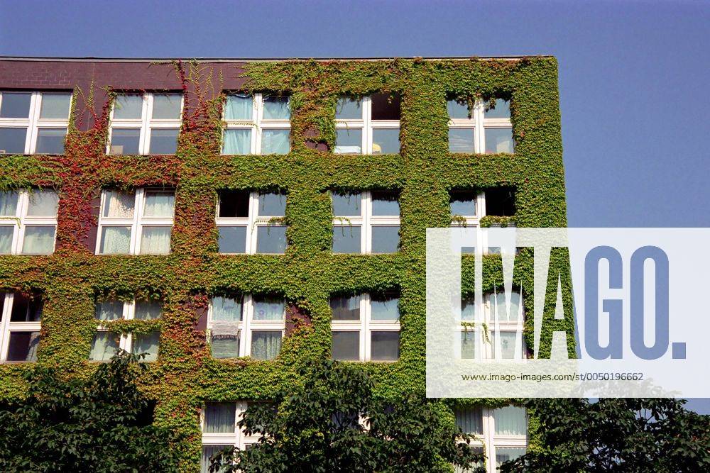 Begrünte Hausfassade in Berlin