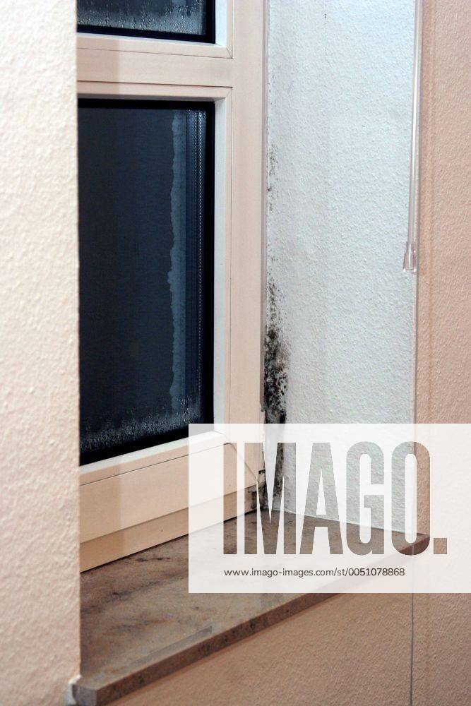 Schimmel am Fenster einer berliner Wohnung
