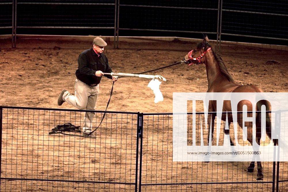 Pferdeflüsterer Monty Roberts (USA) mit einem Pferd in der Schleyerhalle Stuttgart