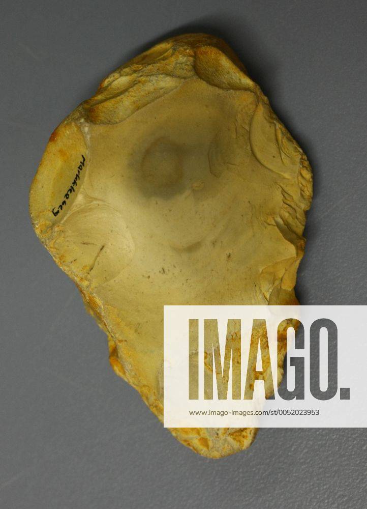 Faustkeil aus Markkleeberg im Archiv des Landesamtes für Archäologie Sachsen in Dresden