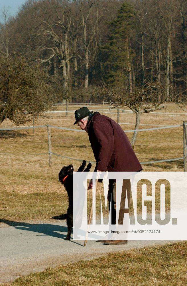 Senior wird während eines Spaziergangs von seinem Hund begrüßt
