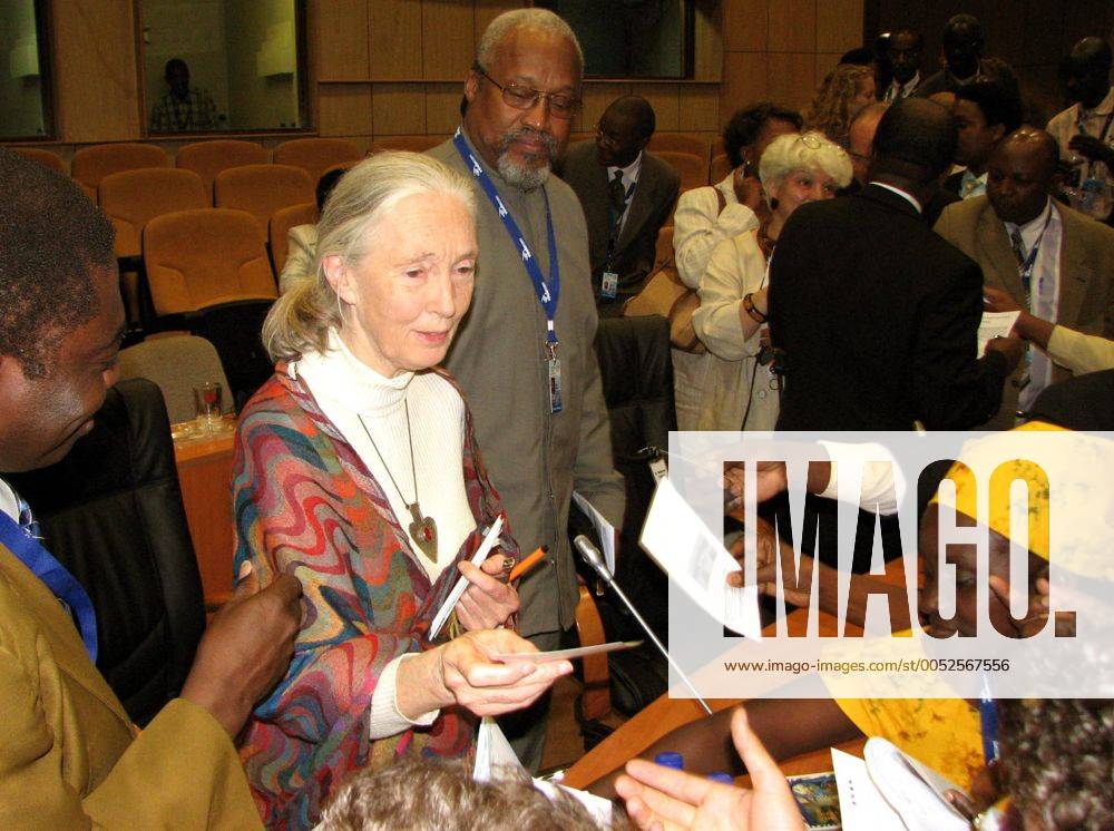 IMAGO ICONS: Jane Goodall Verhaltensforscherin Dr. Jane Goodall verteilt Broschüren mit Tipps zum Umweltschutz in Arusha - Tansania