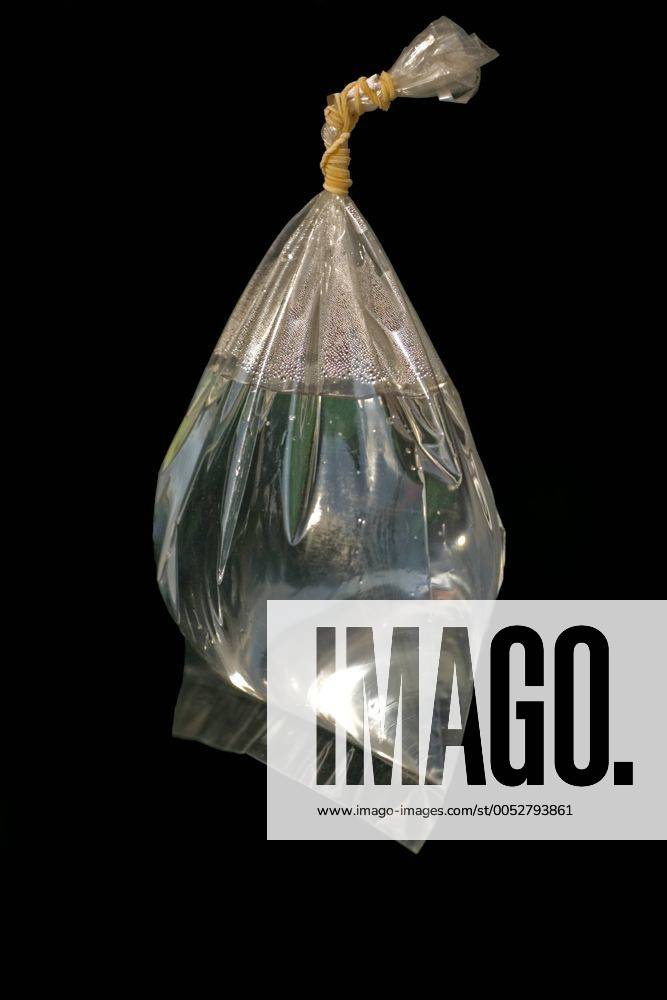 Mit Wasser gefüllte Plastiktüte - ibxasm00845345