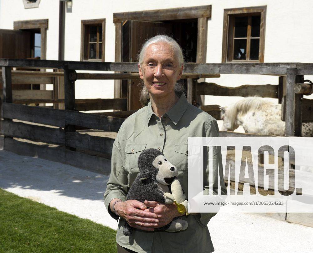 IMAGO ICONS: Jane Goodall Verhaltensforscherin Jane Goodall auf Gut Aiderbichl in Henndorf bei Salzburg