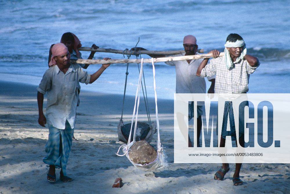 Indische Bauarbeiter tragen Steine am Strand entlang, Indien, Tamil Nadu, Covelong building workers are carrying stones on the beach, India, Tamil Nadu BLWS026938